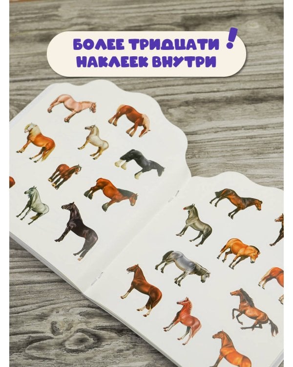 Пони и лошадки