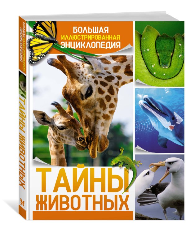 Тайны животных. Большая иллюстрированная энциклопедия