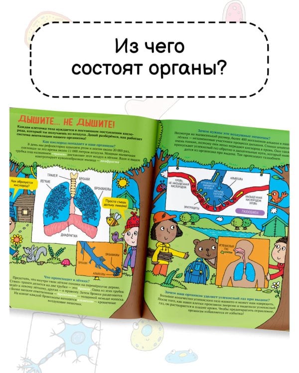 Тело человека. Энциклопедия для детей