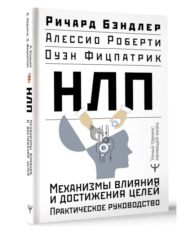 НЛП. Механизмы влияния и достижения целей. Практическое руководство