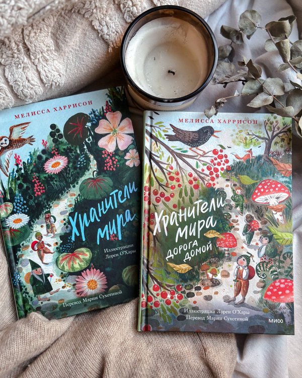 Хранители мира. Дорога домой