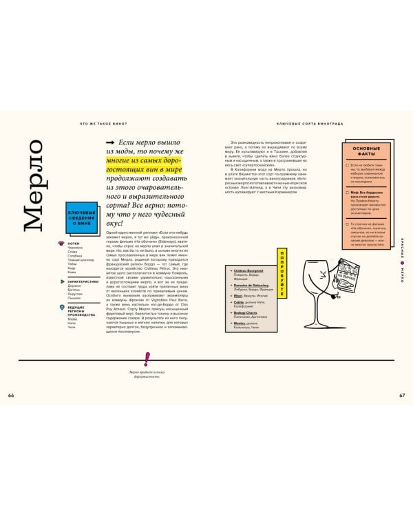 Вино просто: От звёздного сомелье, который поможет выбрать вино
