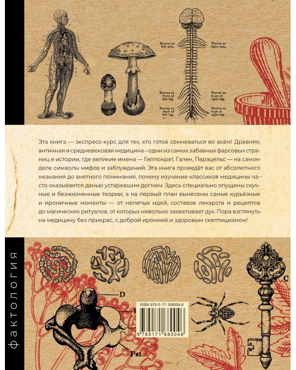 Основы медицины, о которых пора забыть