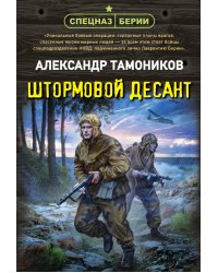 Штормовой десант