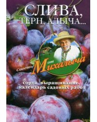 Слива, терн, алыча... Сорта, выращивание, календарь садовых работ