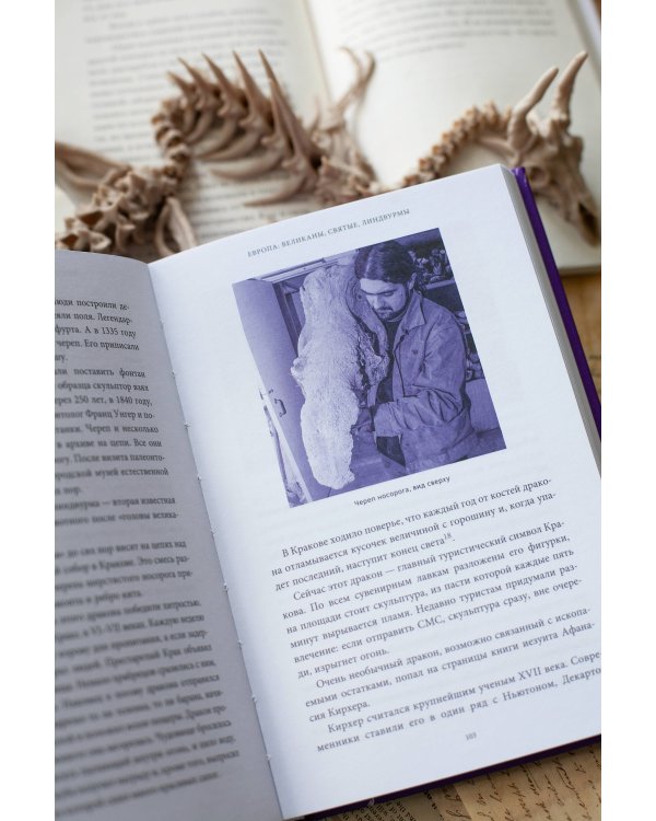 Мифы окаменелостей. От костей великанов и пальцев водяных до зубов дракона и стрел с неба