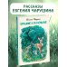 Чарушинские чтения Большие и маленькие