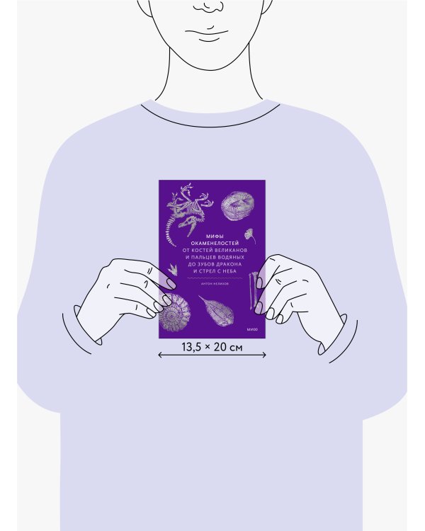 Мифы окаменелостей. От костей великанов и пальцев водяных до зубов дракона и стрел с неба