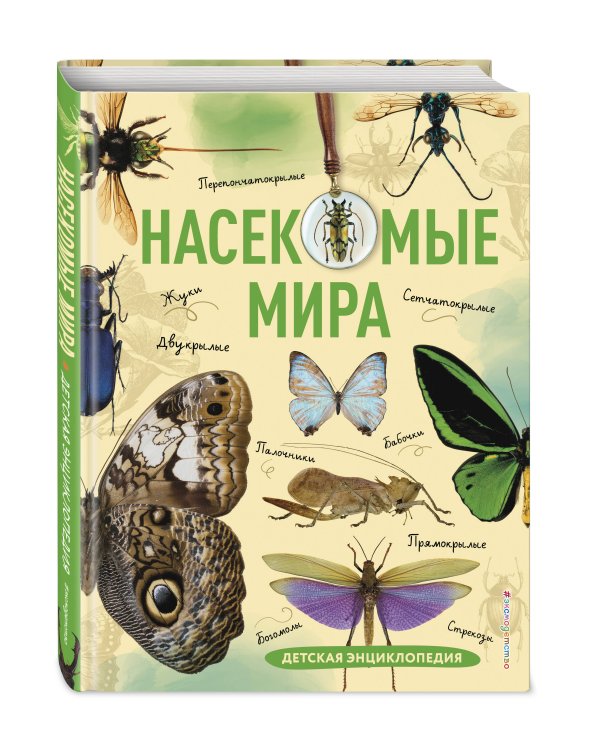 Насекомые мира. Детская энциклопедия
