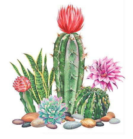 Классическая (Рыжий Кот) Алмаз. мозаика (класс.) 17х22 см, без подр., с част. заполн. (20цв.) ЦВЕТУЩИЕ КАКТУСЫ. Арт. ACM002