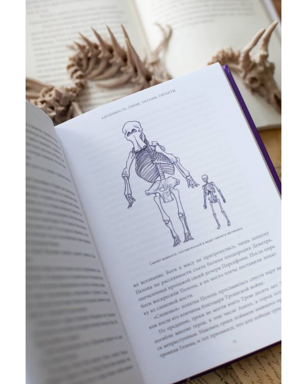 Мифы окаменелостей. От костей великанов и пальцев водяных до зубов дракона и стрел с неба