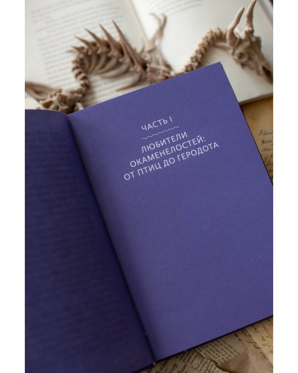 Мифы окаменелостей. От костей великанов и пальцев водяных до зубов дракона и стрел с неба