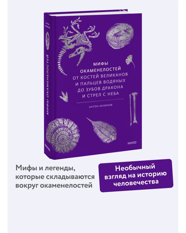 Мифы окаменелостей. От костей великанов и пальцев водяных до зубов дракона и стрел с неба