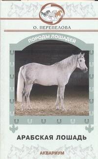 Арабская лошадь