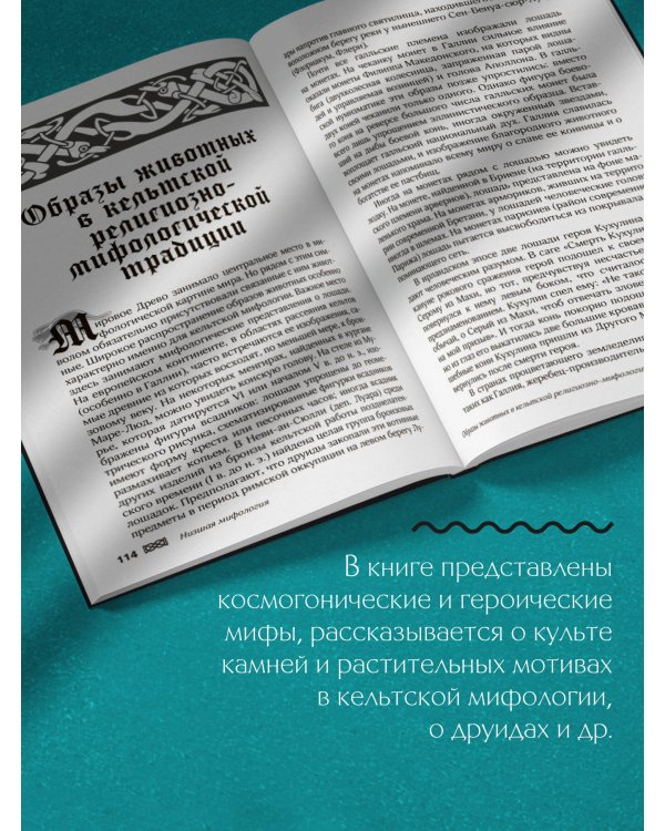 Мифы кельтских народов. Боги, герои, силы природы, символы, мотивы, ритуалы, друиды