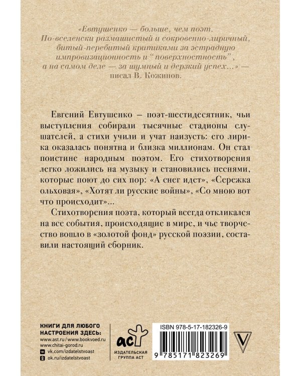 Поэт в России - больше, чем поэт