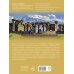 Большой путеводитель по городам и времени Армения. Самые красивые места