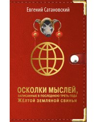 Осколки мыслей, записанные в последнюю треть года Желтой Земляной Свиньи