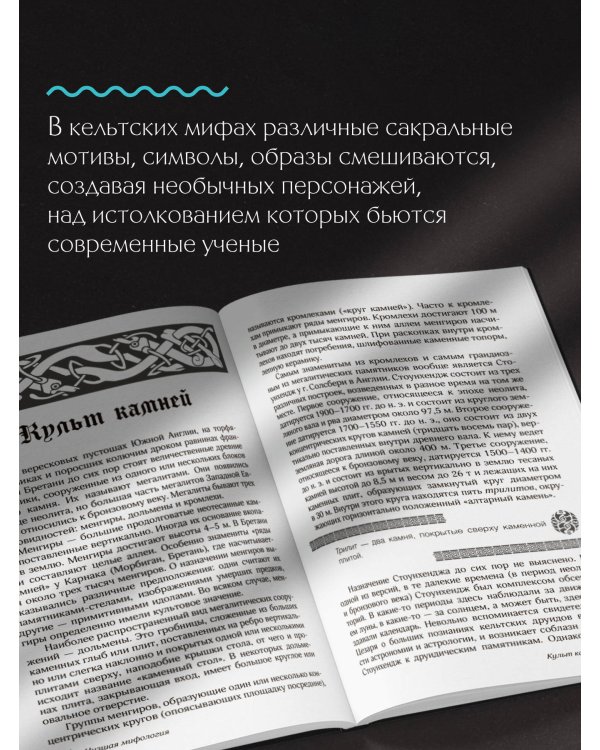 Мифы кельтских народов. Боги, герои, силы природы, символы, мотивы, ритуалы, друиды