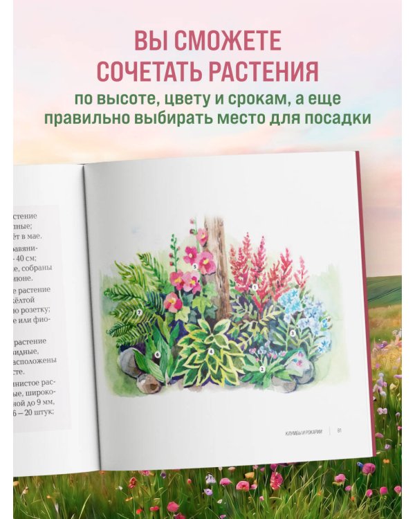 Вдохновляющие цветники. Как создать гармоничные композиции, за которыми легко ухаживать
