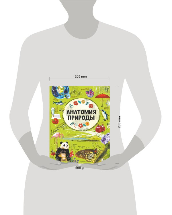 Анатомия природы