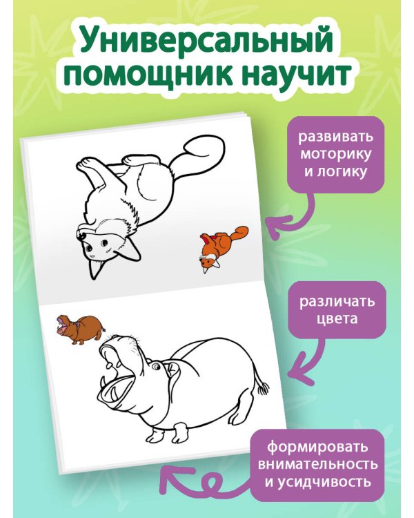 Раскрась по образцу. Дикие животные