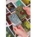 Карты Таро (Подарочная коробка с картами и книгой) Shadow Tarot. Таро Теней Тёмного Леса