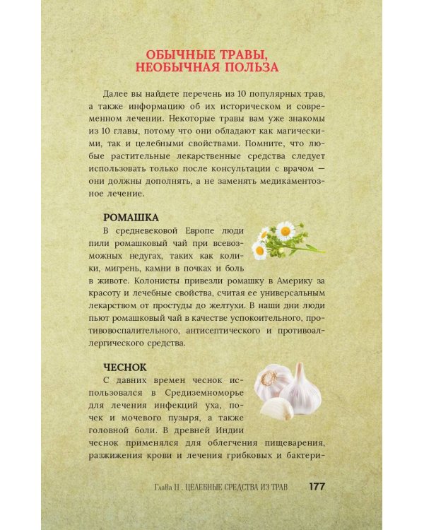 Магия для начинающих ведьм: мистические ритуалы и заклинания