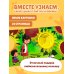 Дополнительное изображение книги «Загляни в окошко! Формы и фигуры»