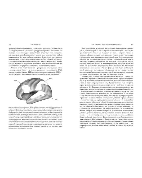Как работает мозг спортивных гениев. Нейробиологическая основа высоких достижений