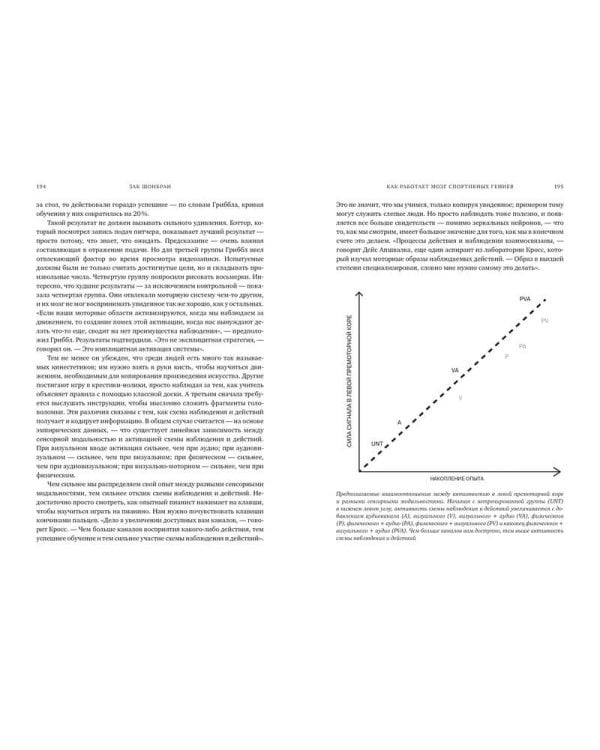 Как работает мозг спортивных гениев. Нейробиологическая основа высоких достижений