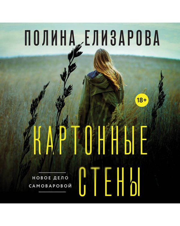 Картонные стены