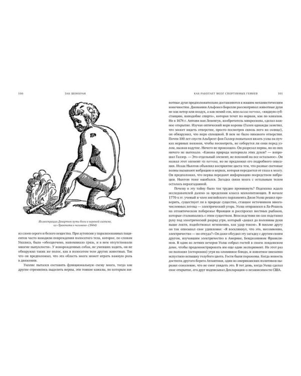 Как работает мозг спортивных гениев. Нейробиологическая основа высоких достижений