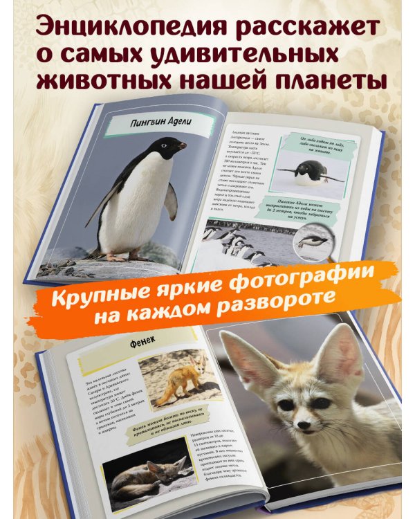 Дополнительное изображение книги «Удивительные животные нашей планеты»