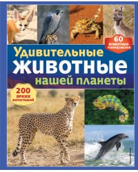 Удивительные животные нашей планеты