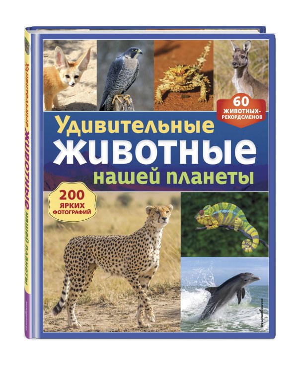 Удивительные животные нашей планеты