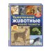 Удивительные животные нашей планеты
