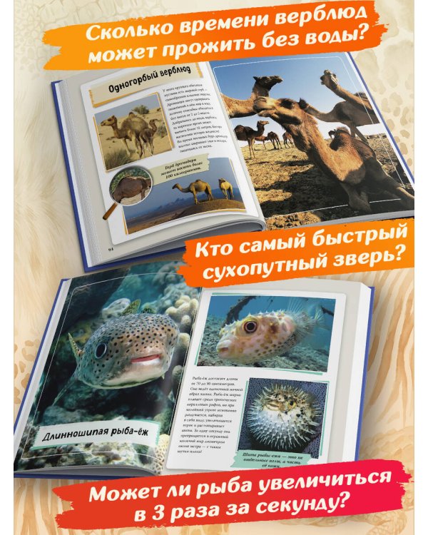 Дополнительное изображение книги «Удивительные животные нашей планеты»