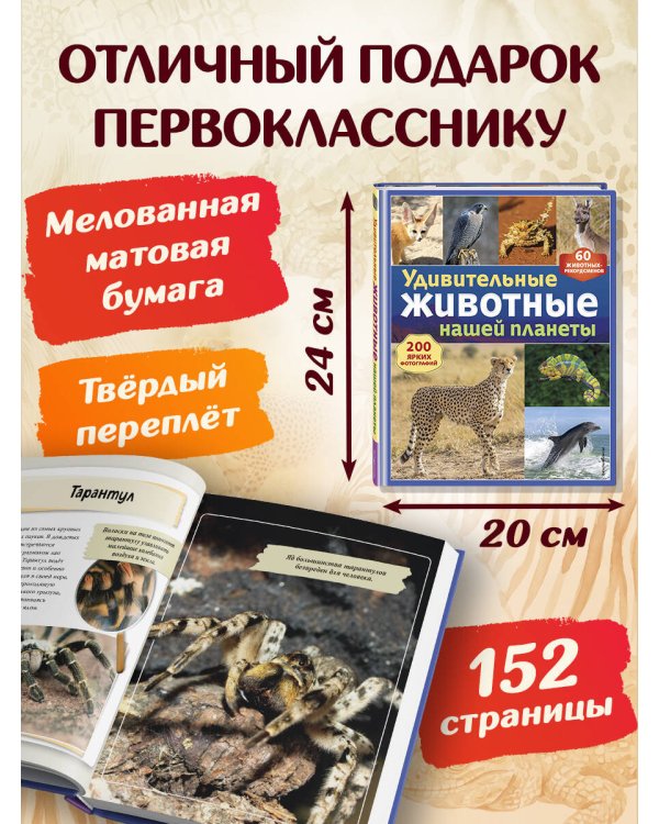 Дополнительное изображение книги «Удивительные животные нашей планеты»