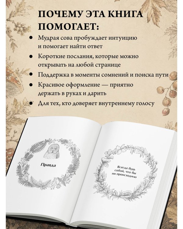 Дополнительное изображение книги «Ответы мудрой совы»
