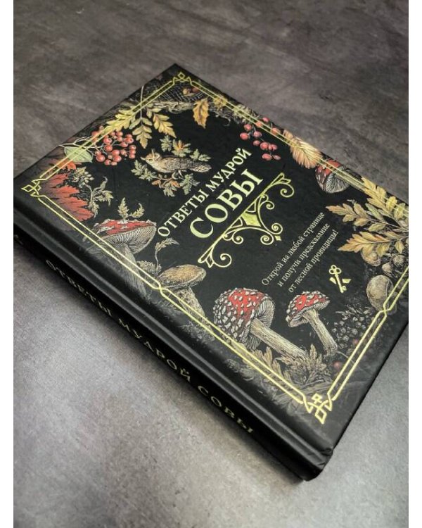 Ответы мудрой совы