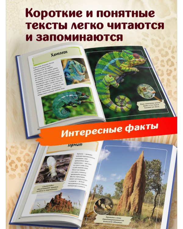 Дополнительное изображение книги «Удивительные животные нашей планеты»