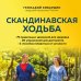 Скандинавская ходьба: правила, техники, выбор инвентаря