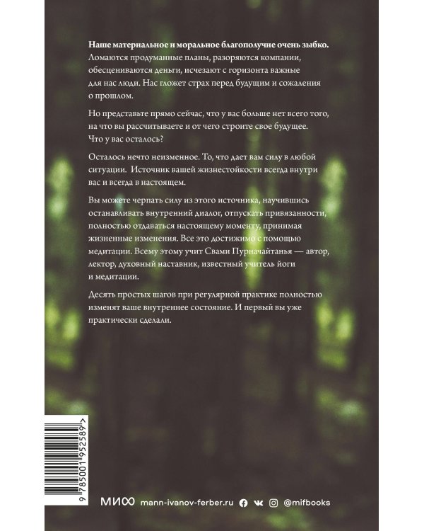 Источник силы. Как найти ресурсы внутри себя и обрести спокойствие в меняющемся мире