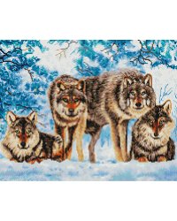 4502-ST-S Вольные сыны леса