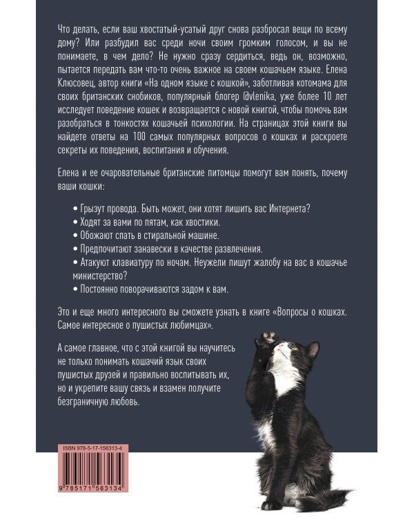 Вопросы о кошках. Самое интересное о пушистых любимцах