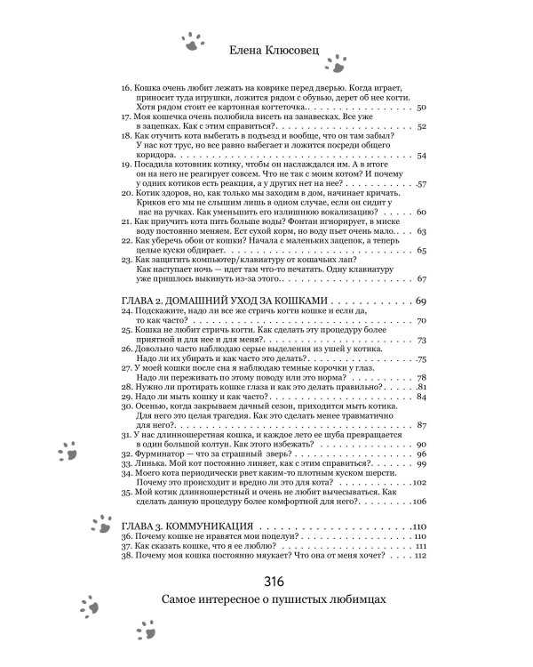 Вопросы о кошках. Самое интересное о пушистых любимцах
