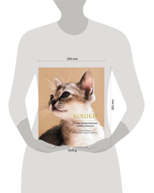 Кошки. Иллюстрированная энциклопедия