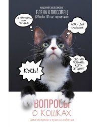 Вопросы о кошках. Самое интересное о пушистых любимцах