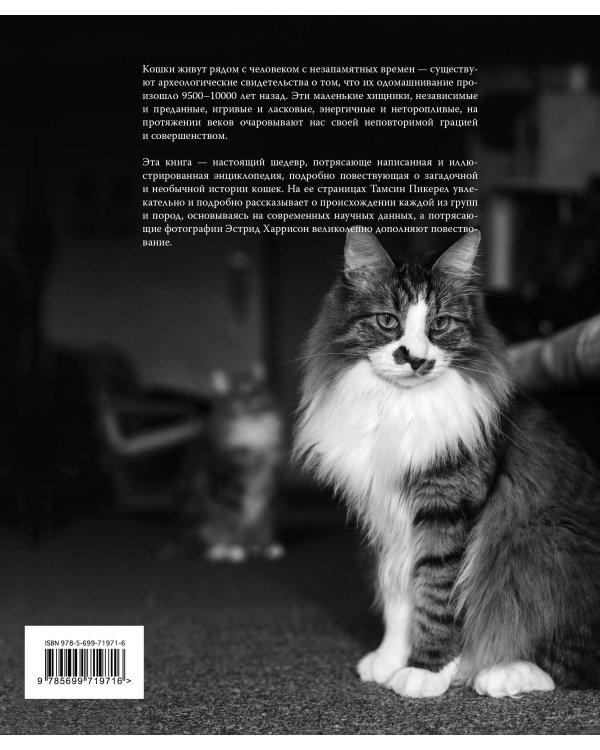 Кошки. Иллюстрированная энциклопедия